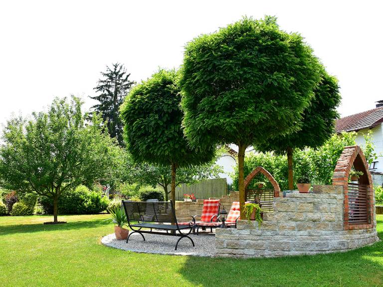 foto17