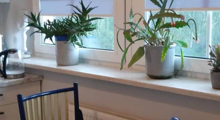 Apartment with 3 rooms for 12 persons in Lublin