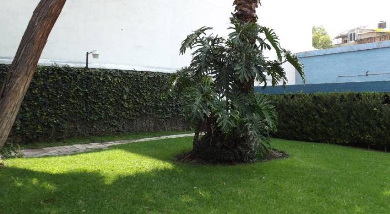 foto47