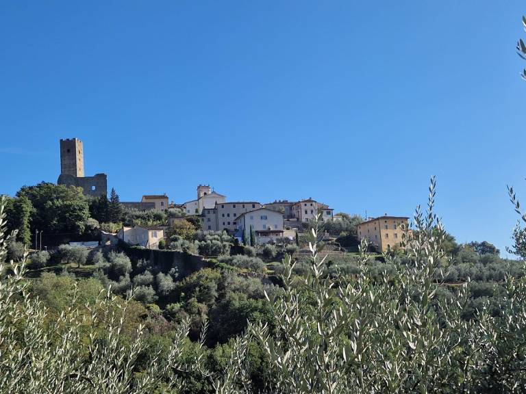 foto41