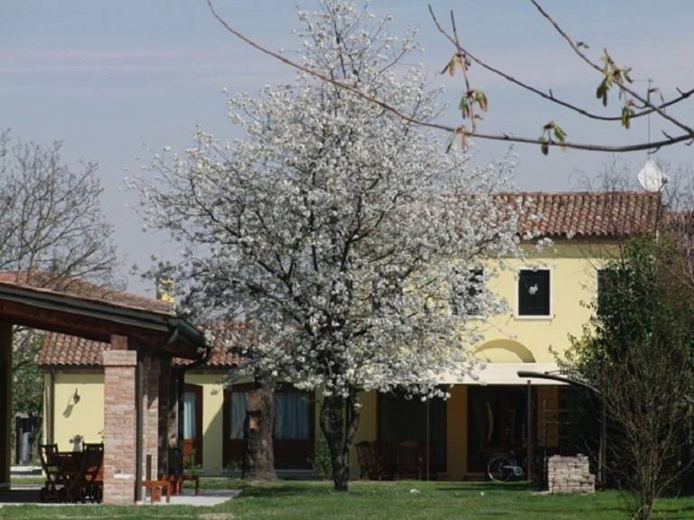 Casa Marghera