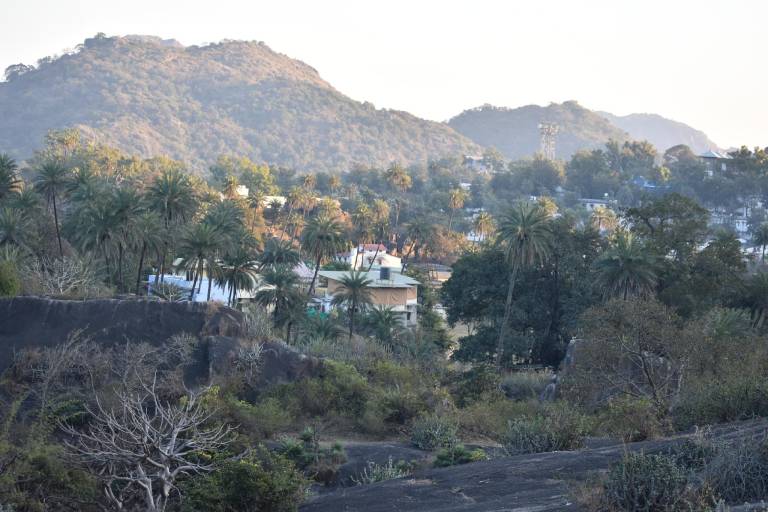 foto5