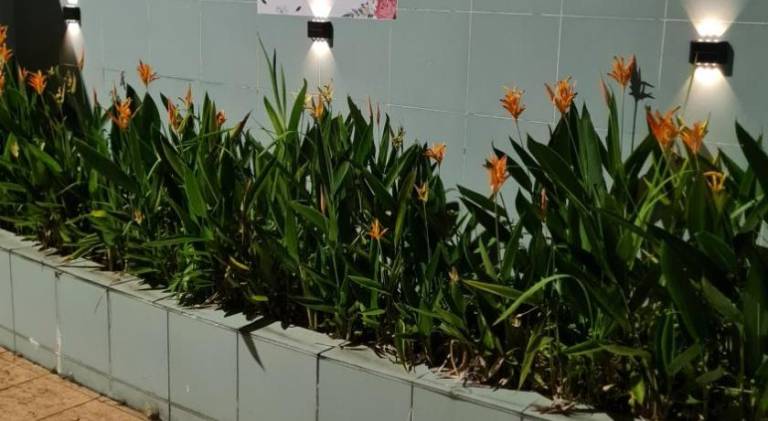 foto14