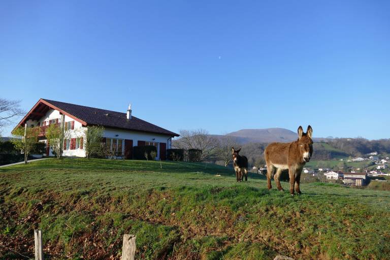 Appartement Louhossoa
