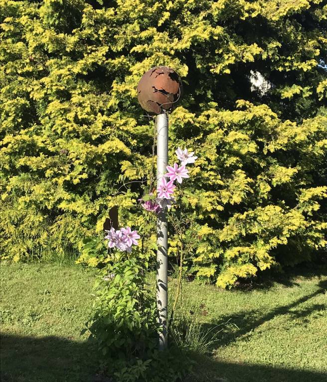 foto5