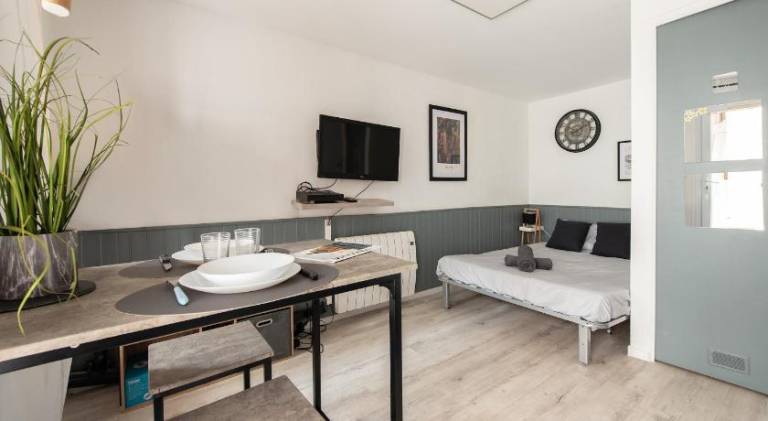 Nice holiday apartment | Pets are welcome in Toulouse