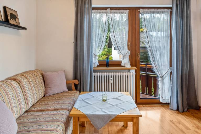 Lovely rental apartment with fast internet & yard | Garden view | Pet-friendly in Hinterzarten