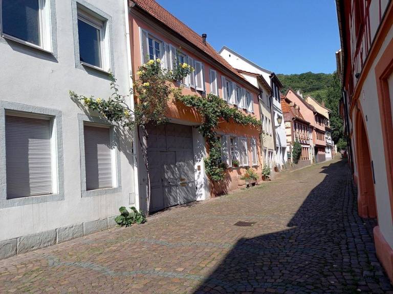 Ferienwohnung Gimmeldingen