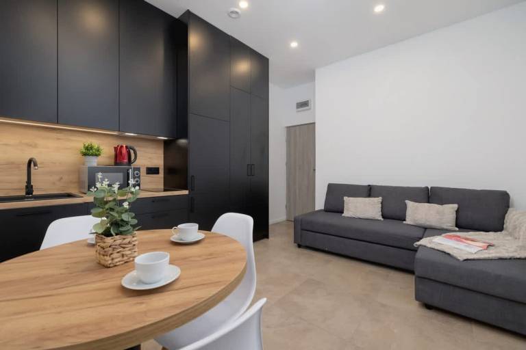 Apartament typu studio Katowice