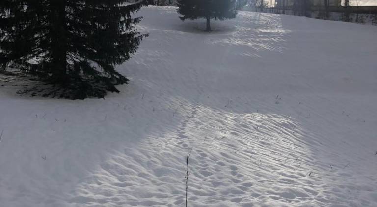 Pleasant holiday apartment with pool | Pets allowed in Braunlage