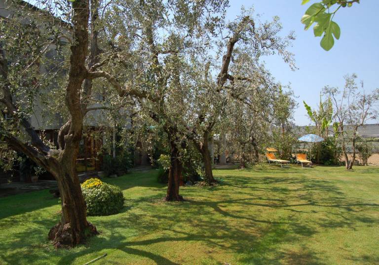 foto10