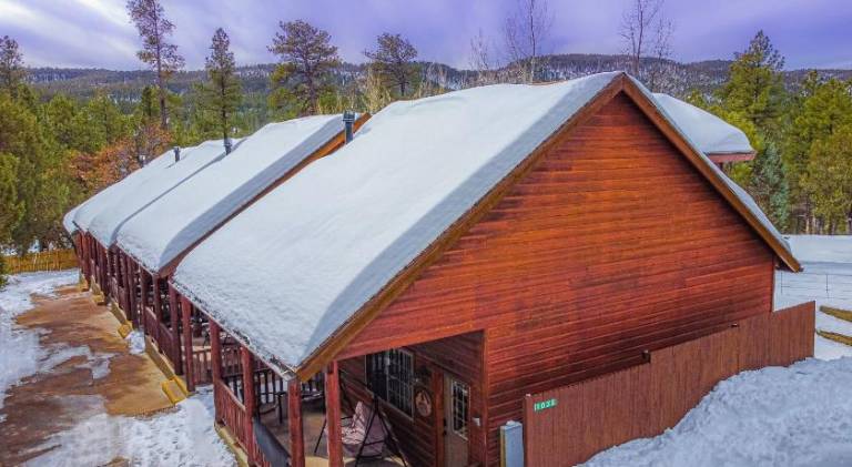 Cabin 4 The Wolves Den - Pet Friendly- Sleeps 6 - Playground & Game Room — photo 3