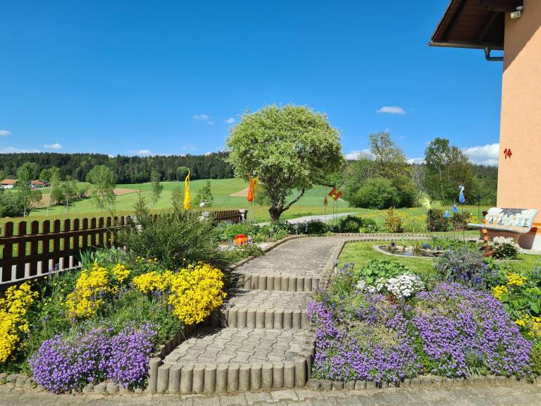 foto23