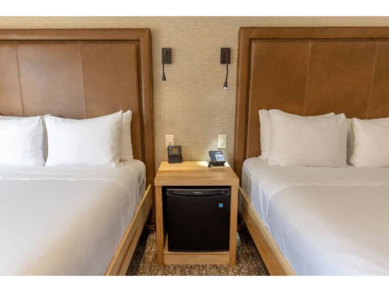Superior Hotel Room with 2 Queens — photo 5