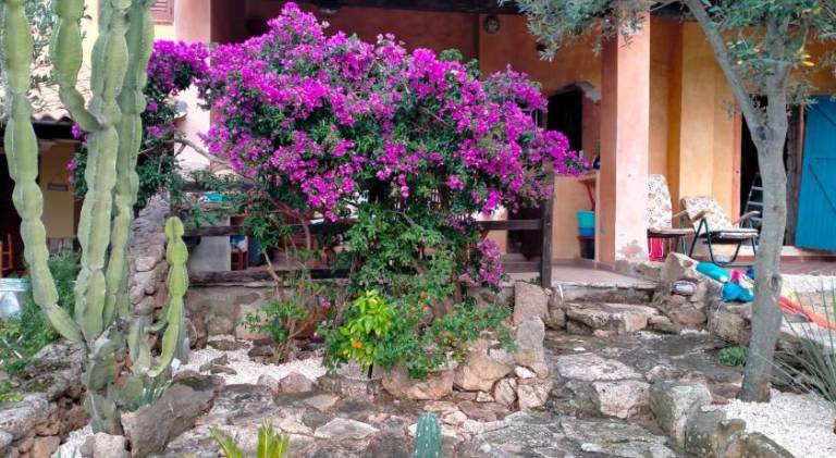 Lovely holiday apartment | Pets allowed in Olbia