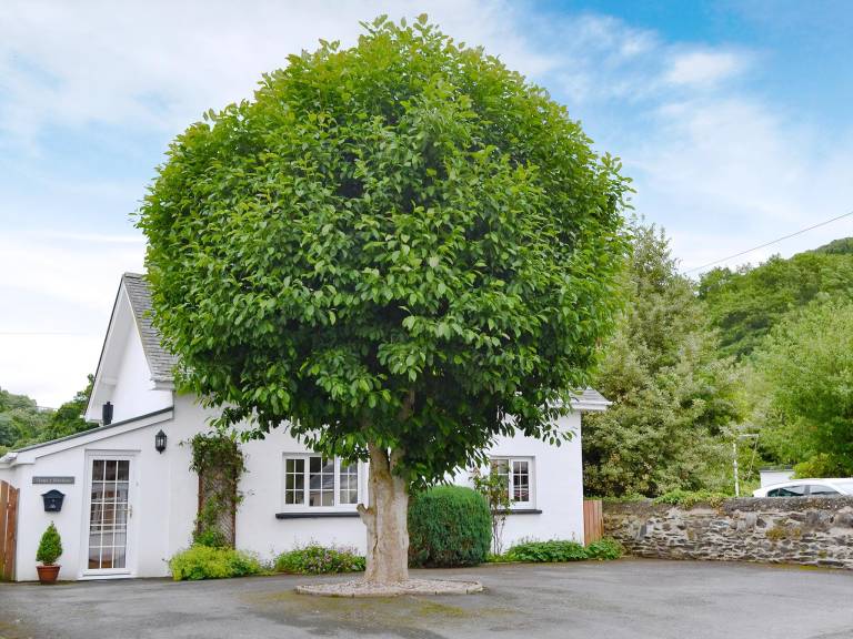Cottage Borth