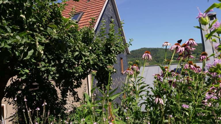 Ferienhaus Trusetal