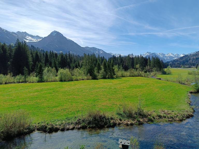 Leilighet  Fischen