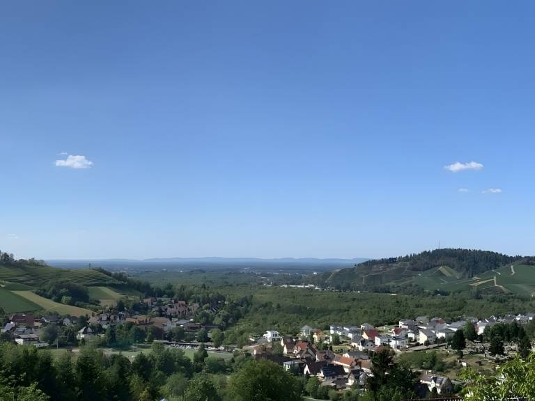 foto2