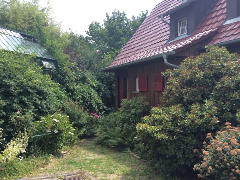 foto10
