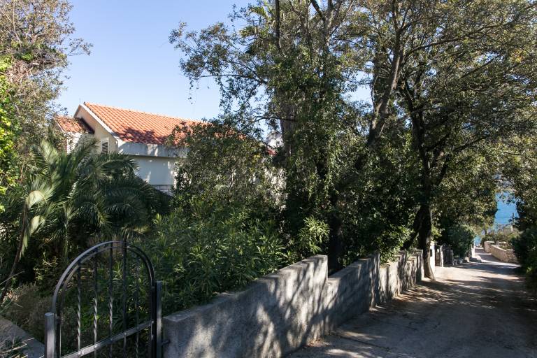 foto17