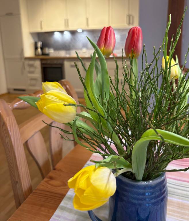 Family-oriented charming rental apartment with BBQ, terrace & fast internet | Garden view | Pets allowed — photo 5