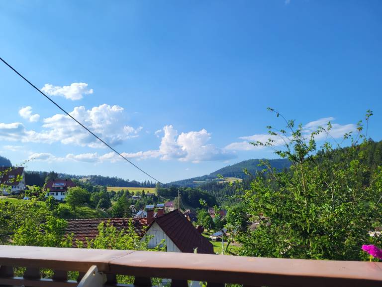 Apartment 'Schwarzwaldglück' with Mountain View, Shared Terrace and Wi-Fi — photo 2