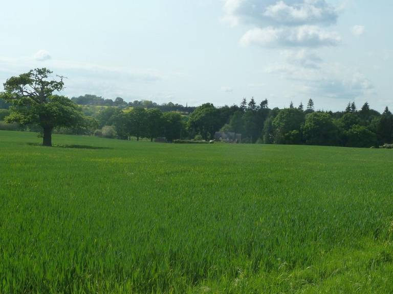 foto11