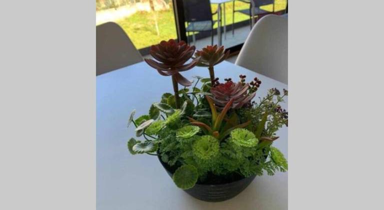 foto46
