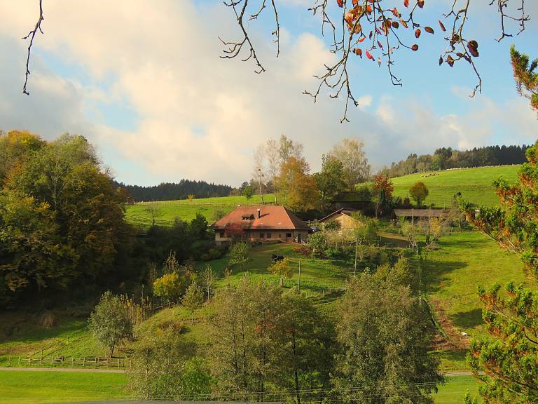 foto20