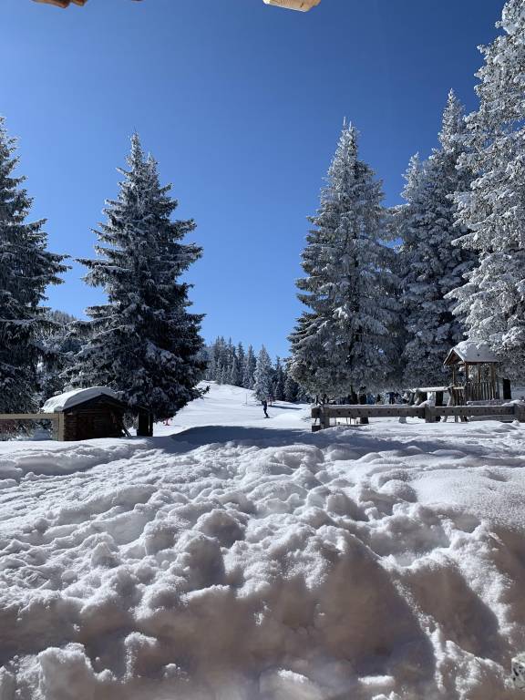 Hotel Simmerlwirt — photo 3