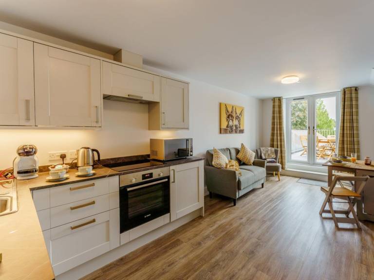 Rental apartment with terrace — photo 4