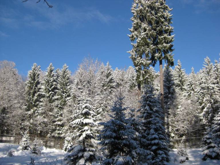 foto17