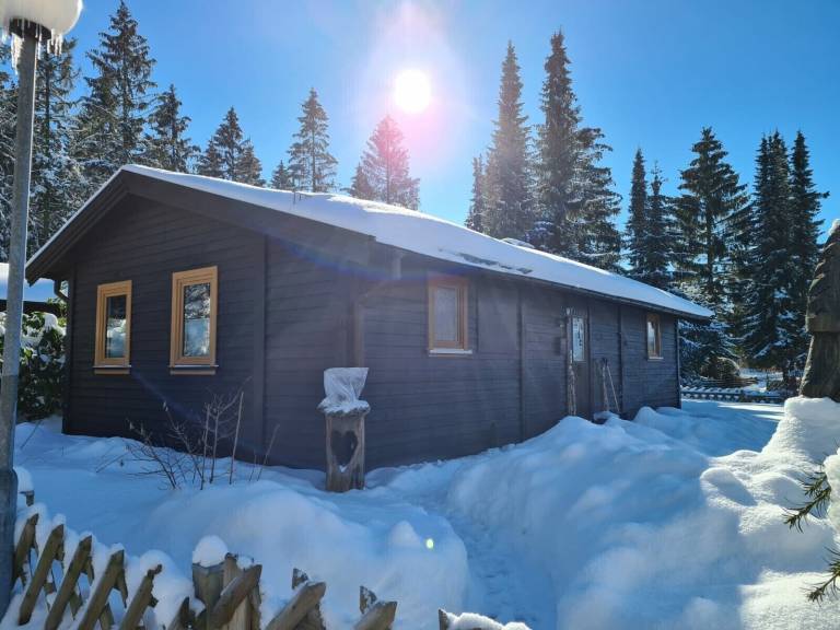 Ferienhaus Clausthal-Zellerfeld