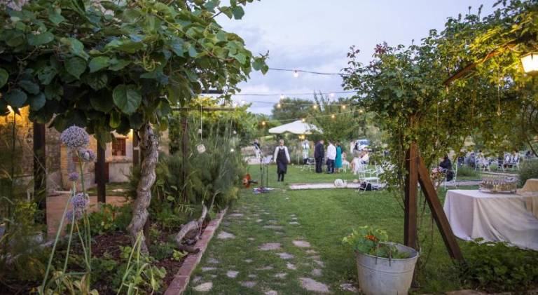 foto42