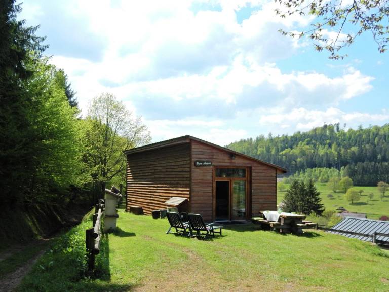 foto23