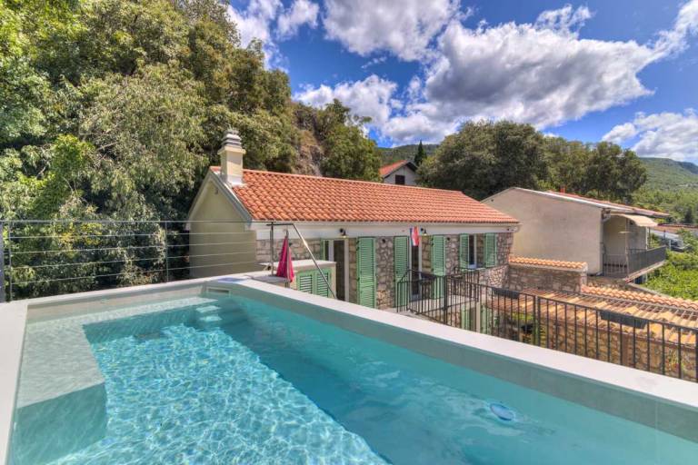 Child-friendly pleasant villa with patio & pool | Pool view | Pets allowed in Crikvenica