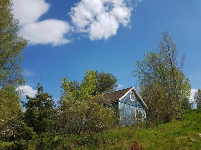 foto16