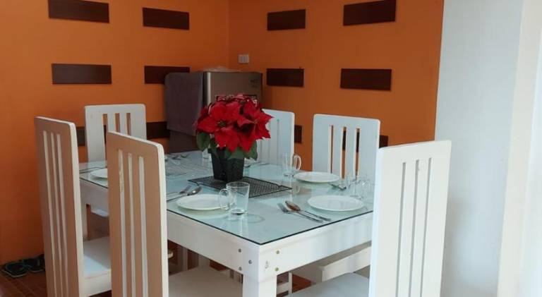Apartment with garden — photo 4