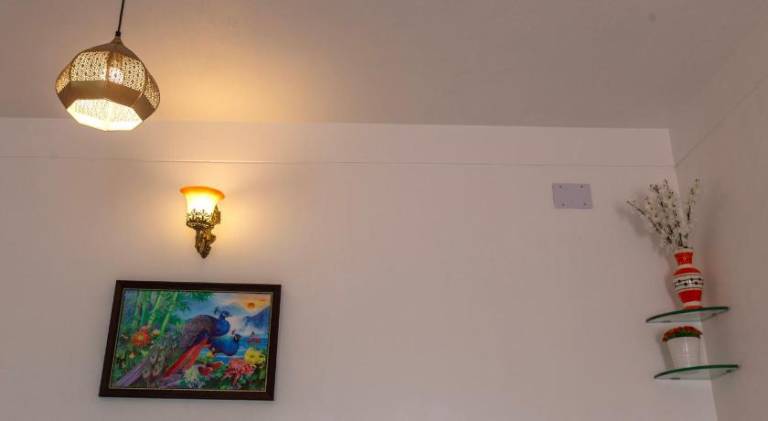 foto19