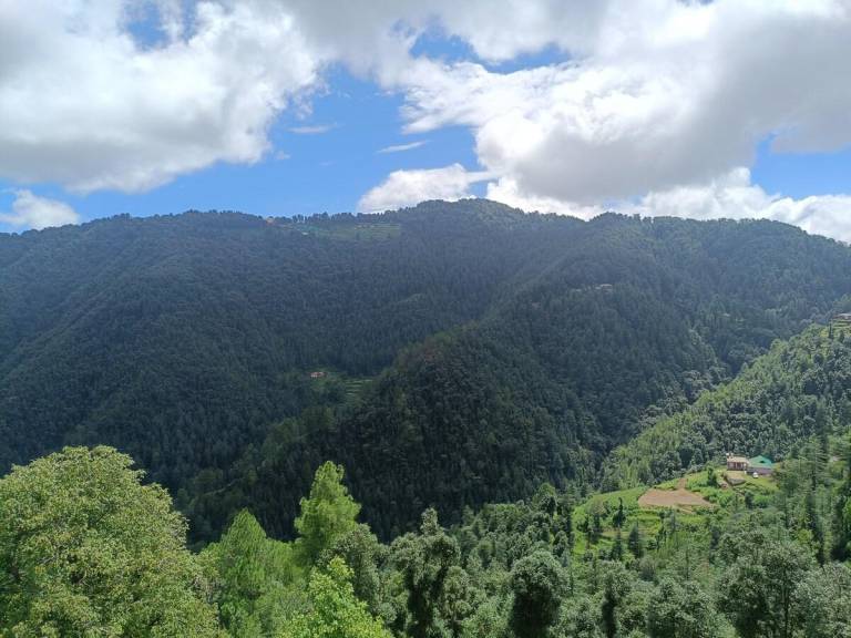 foto3