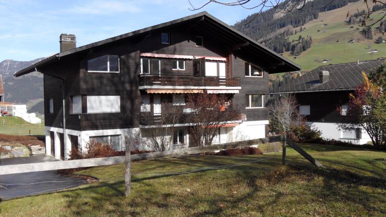 Appartement Lenk