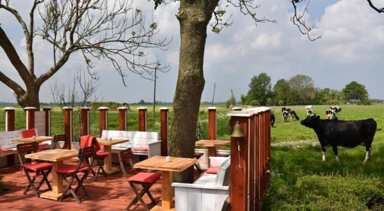 Chambre d'hôtes Lauwersoog