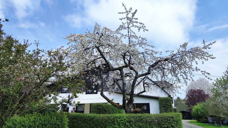 Ferienwohnung Hallenberg