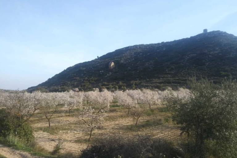 Casa rural Castelldáns