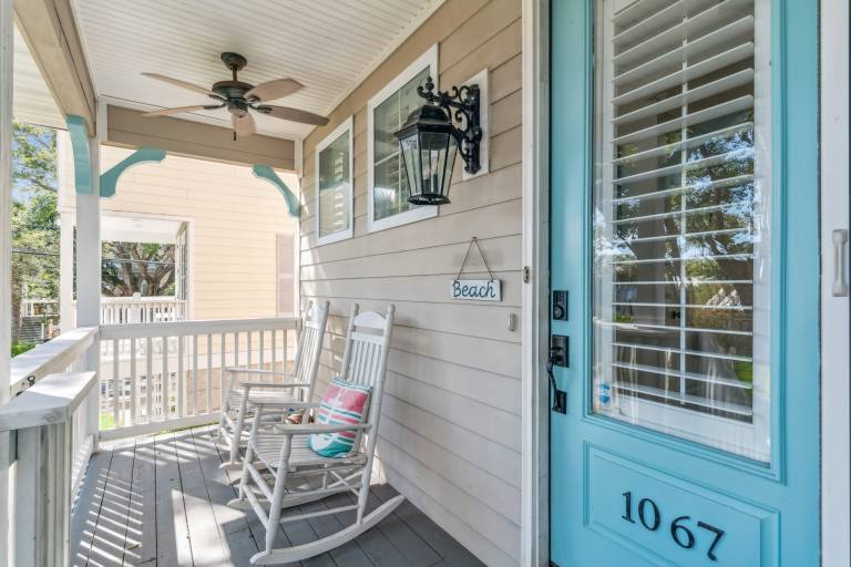 The Turtles Nest - 1067 College Street — photo 3