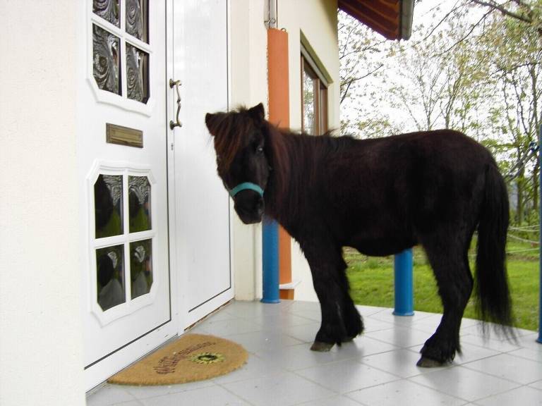 Ferienwohnung Bad Rappenau