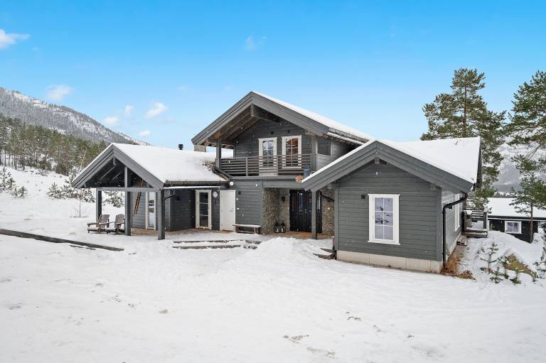 Chalet Vrådal