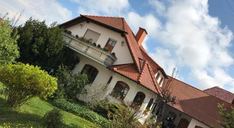Apartment with pool | Pets allowed in Siebeldingen