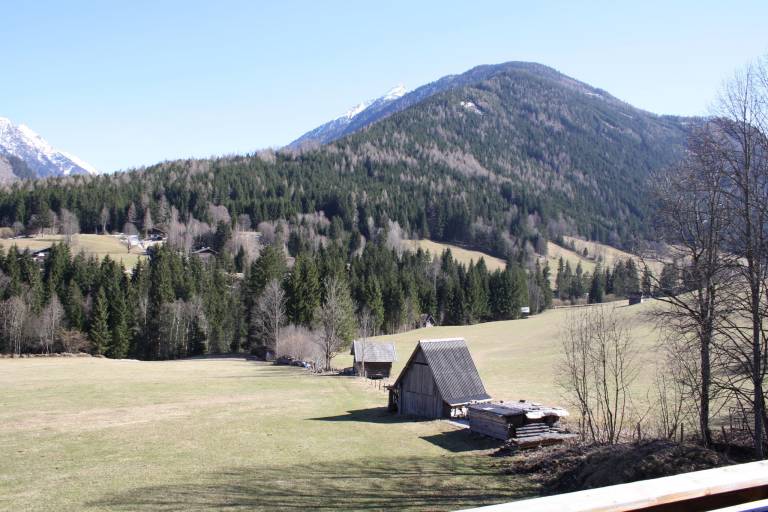 foto5